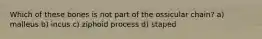 Which of these bones is not part of the ossicular chain? a) malleus b) incus c) ziphoid process d) staped