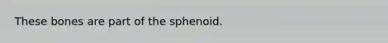 These bones are part of the sphenoid.