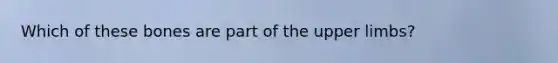 Which of these bones are part of the upper limbs?