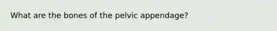 What are the bones of the pelvic appendage?