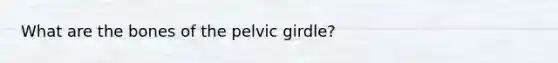 What are the bones of the pelvic girdle?