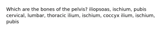 Which are the bones of the pelvis? iliopsoas, ischium, pubis cervical, lumbar, thoracic ilium, ischium, coccyx ilium, ischium, pubis