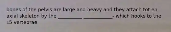 bones of the pelvis are large and heavy and they attach tot eh axial skeleton by the __________ ____________- which hooks to the L5 vertebrae