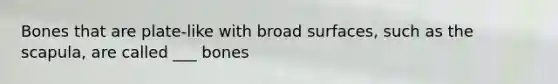 Bones that are plate-like with broad surfaces, such as the scapula, are called ___ bones