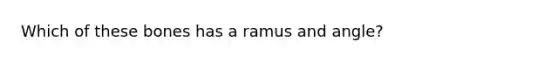 Which of these bones has a ramus and angle?