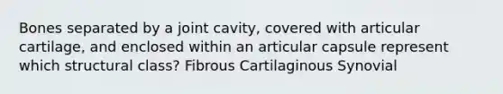 Bones separated by a joint cavity, covered with articular cartilage, and enclosed within an articular capsule represent which structural class? Fibrous Cartilaginous Synovial