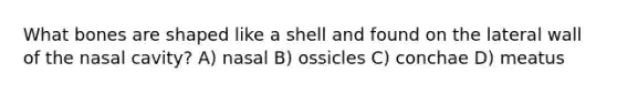 What bones are shaped like a shell and found on the lateral wall of the nasal cavity? A) nasal B) ossicles C) conchae D) meatus