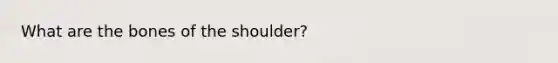 What are the bones of the shoulder?