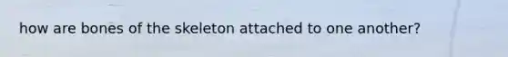 how are bones of the skeleton attached to one another?