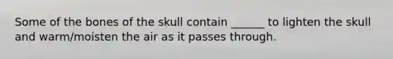 Some of the bones of the skull contain ______ to lighten the skull and warm/moisten the air as it passes through.