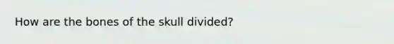 How are the bones of the skull divided?