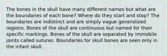 The bones in the skull have many different names but what are the boundaries of each bone? Where do they start and stop? The boundaries are indistinct and are simply vague generalized regions. Bones of the skull are continuous but named for their specific markings. Bones of the skull are separated by immobile joints called sutures. Boundaries for skull bones are seen only in the infant skull.