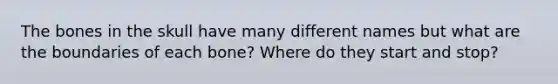 The bones in the skull have many different names but what are the boundaries of each bone? Where do they start and stop?