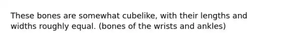 These bones are somewhat cubelike, with their lengths and widths roughly equal. (bones of the wrists and ankles)