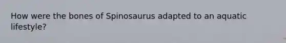 How were the bones of Spinosaurus adapted to an aquatic lifestyle?