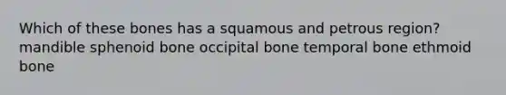 Which of these bones has a squamous and petrous region? mandible sphenoid bone occipital bone temporal bone ethmoid bone