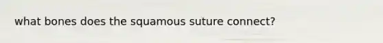 what bones does the squamous suture connect?