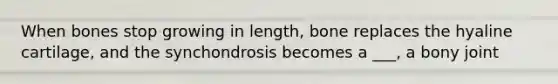 When bones stop growing in length, bone replaces the hyaline cartilage, and the synchondrosis becomes a ___, a bony joint