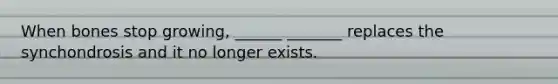 When bones stop growing, ______ _______ replaces the synchondrosis and it no longer exists.