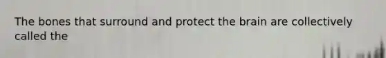 The bones that surround and protect the brain are collectively called the