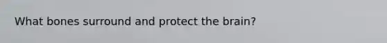 What bones surround and protect the brain?