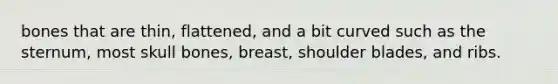 bones that are thin, flattened, and a bit curved such as the sternum, most skull bones, breast, shoulder blades, and ribs.