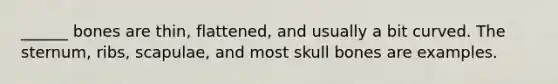 ______ bones are thin, flattened, and usually a bit curved. The sternum, ribs, scapulae, and most skull bones are examples.