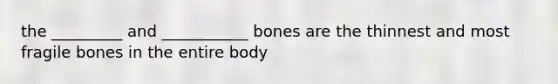 the _________ and ___________ bones are the thinnest and most fragile bones in the entire body