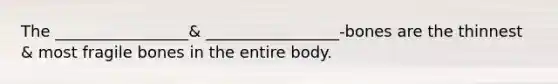 The _________________& _________________-bones are the thinnest & most fragile bones in the entire body.