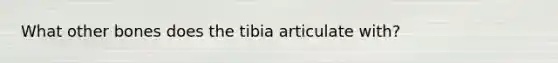 What other bones does the tibia articulate with?