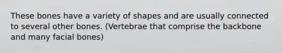 These bones have a variety of shapes and are usually connected to several other bones. (Vertebrae that comprise the backbone and many facial bones)