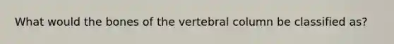 What would the bones of the vertebral column be classified as?