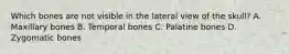 Which bones are not visible in the lateral view of the skull? A. Maxillary bones B. Temporal bones C. Palatine bones D. Zygomatic bones