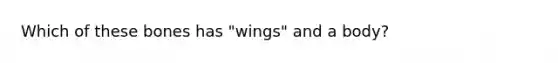 Which of these bones has "wings" and a body?