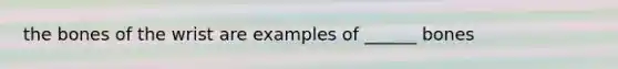 the bones of the wrist are examples of ______ bones