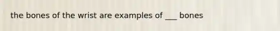 the bones of the wrist are examples of ___ bones