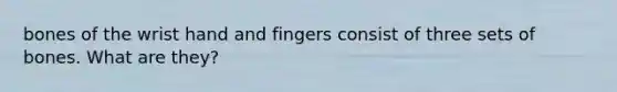 bones of the wrist hand and fingers consist of three sets of bones. What are they?