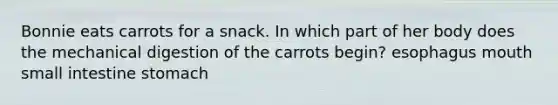 Bonnie eats carrots for a snack. In which part of her body does the mechanical digestion of the carrots begin? esophagus mouth small intestine stomach