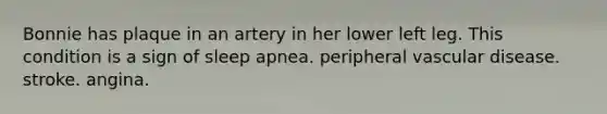 Bonnie has plaque in an artery in her lower left leg. This condition is a sign of sleep apnea. peripheral vascular disease. stroke. angina.