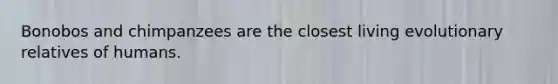 Bonobos and chimpanzees are the closest living evolutionary relatives of humans.