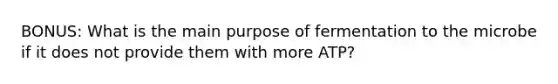 BONUS: What is the main purpose of fermentation to the microbe if it does not provide them with more ATP?