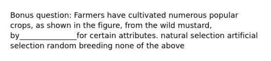 Bonus question: Farmers have cultivated numerous popular crops, as shown in the figure, from the wild mustard, by_______________for certain attributes. natural selection artificial selection random breeding none of the above