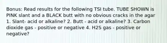 Bonus: Read results for the following TSI tube. TUBE SHOWN is PINK slant and a BLACK butt with no obvious cracks in the agar 1. Slant- acid or alkaline? 2. Butt - acid or alkaline? 3. Carbon dioxide gas - positive or negative 4. H2S gas - positive or negative?