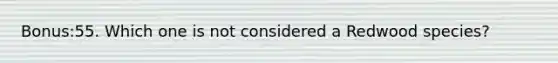 Bonus:55. Which one is not considered a Redwood species?