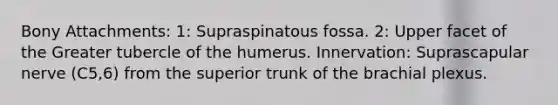 Bony Attachments: 1: Supraspinatous fossa. 2: Upper facet of the Greater tubercle of the humerus. Innervation: Suprascapular nerve (C5,6) from the superior trunk of the brachial plexus.