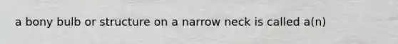 a bony bulb or structure on a narrow neck is called a(n)