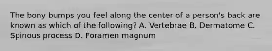 The bony bumps you feel along the center of a person's back are known as which of the following? A. Vertebrae B. Dermatome C. Spinous process D. Foramen magnum