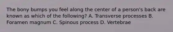 The bony bumps you feel along the center of a​ person's back are known as which of the​ following? A. Transverse processes B. Foramen magnum C. Spinous process D. Vertebrae