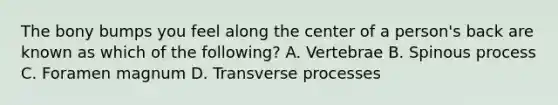 The bony bumps you feel along the center of a​ person's back are known as which of the​ following? A. Vertebrae B. Spinous process C. Foramen magnum D. Transverse processes
