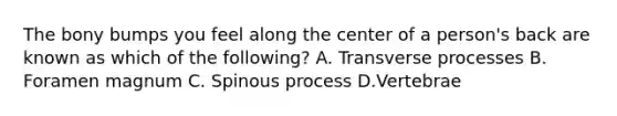 The bony bumps you feel along the center of a​ person's back are known as which of the​ following? A. Transverse processes B. Foramen magnum C. Spinous process D.Vertebrae
